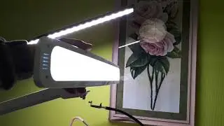 Обзор Led лампы Working. Весна в Краснодаре