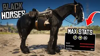 5 Best BLACK Horses with the Highest Stats - Red Dead Redemption 2