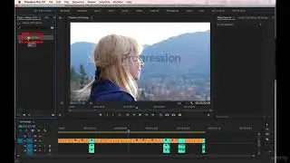 Adobe Premiere Pro CC Complete A Video Editing Project 4