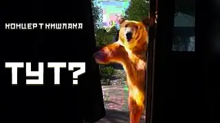 МЕДВЕДЬ ИЩЕТ КОНЦЕРТ КИШЛАКА
