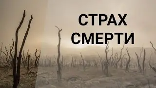 Как избавиться от страха смерти? Начать жить! Танатофобия и её цикличность
