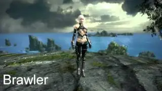 [MOD] TERA Rising - Human Brawler Animation Swaps