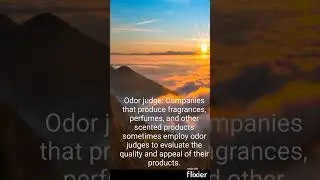 Weird jobs that actually  exist