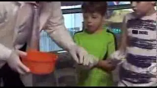 Хим шоу