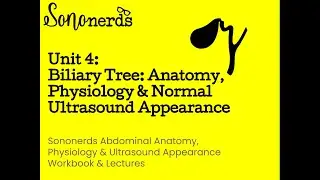 Biliary Ultrasound :: Anatomy/Physiology & Normal Appearance :: Abdominal Ultrasound with Sononerds