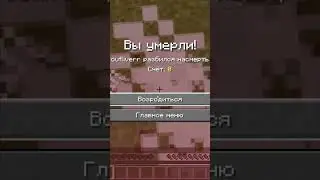 Я лох в майнкрафте 