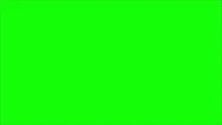 1 Hour Lime Green 