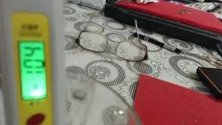 Антиоксиданты и противовирусная защита организма.