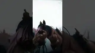 Cybernetic horses galloping around AI Stable diffusion art