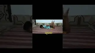 Dhanurasan yoga