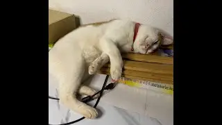 วันพุธ ฉันเพิ่งมาาา
