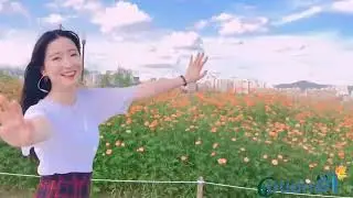 Gái Xinh Trượt Ván | nhạc gái xinh | Nhạc Gây Nghiện