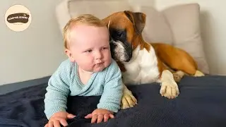 A Loyal Dog Became This Little Boy’s First Real Best Friend
