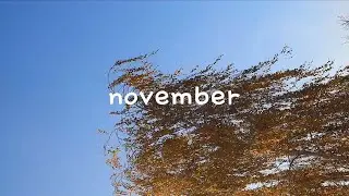 november 2022 ⭐ calm autumn days, friends, art, cafe visits  。.:☆*:･