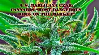 The Government once again lies about Cannabis