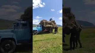 Газ 53.Разгар сенокоса. Грузим тюки!
