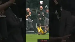 trending funny video🤣🤣🤣(4)