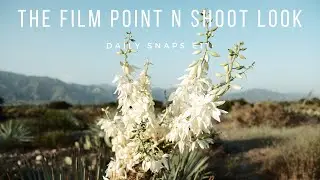 Daily Snaps E11- A point n' shoot film look Fuji XF10 Recipe (-2-2 recipe)