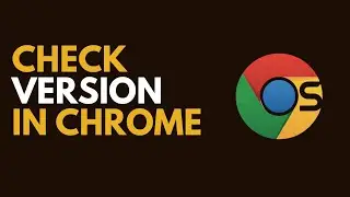 How to Check Your Google Chrome Version (Quick & Easy)