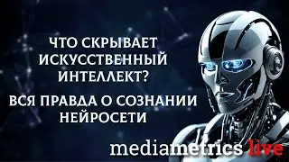 Большая разборка. Что скрывает Искусственный интеллект?