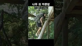 나무 위에서 잔다고? 트리하우스 캠핑 🌳 #shorts