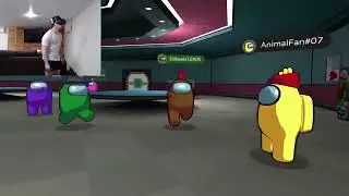 Trolling in Among Us VR LIVE