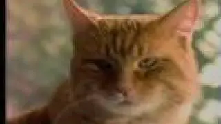 9 Lives