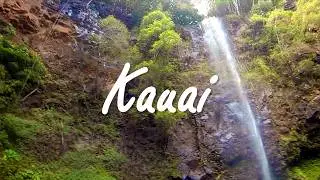 BAKERS @ KAUAI [4K60]