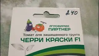Томат для защищенного грунта Черри Краски F1