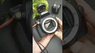 Best DSLR Camera 2024? #shorts