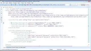 Spring Security 9   HTTP Basic Authentication