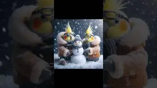 Tiel makes a snowman #birds #cockatielsing #cute #parrot #funny #pets #pet #shorts #funny
