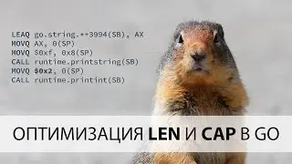 OPTIMIZATION of LEN and CAP in GoLang