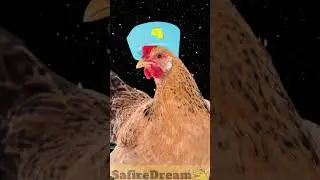 A UNIVERSAL TOY #planets #space #solarsystem #potty  #chicken