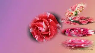 Для самой нежной и любимой! Красивое поздравление С Днём Рождения!!!