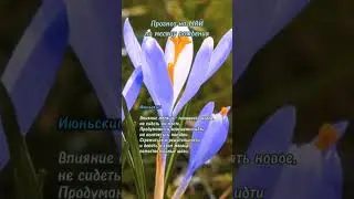 Прогноз на Май по месяцу рождения 