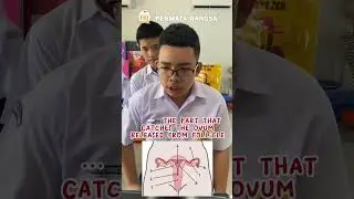 Reproduction Quiz. #scienceclasswithmsmira