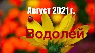Водолей. Таро-прогноз на Август 2021 года.