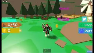 roblox Viking simulator Codes Pet