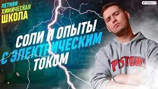 Летняя школа 2023 | Свойства солей и опыты с электрическим током | ТурбоЕГЭ