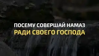 Саад Аль-Курейши | Сура 108 Каусар | Красивое чтение Корана
