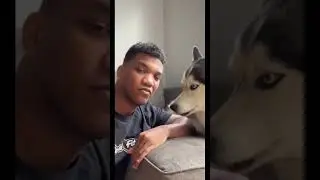 i found my dogs TICKLE SPOT!