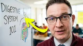 Digestive system