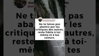 Ne te laisse abattre par les critiques #shortvideo #motivation #gratefulmindset #motivational