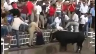 bulls revenge
