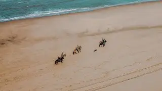 Paarden Shoot Noordwijk strand | ME Visuals