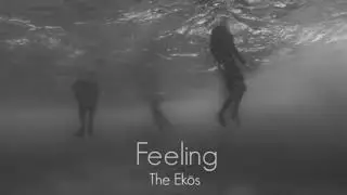 The Ekös - Feeling