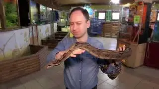 Сюжет на ТСН про зоопарк Жива планета у Дніпрі Як рятували  удава з передової