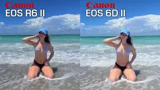 Canon EOS R6 Mark II vs Canon EOS 6D Mark II Camera Comparision