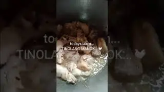 TINOLANG MANOK
